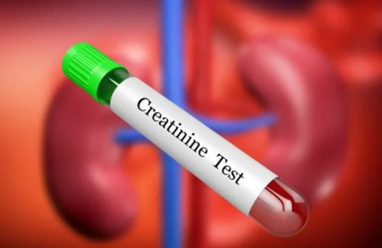 Creatinine Blood Test – Meaning, Levels, Uses & Early Kidney Detection